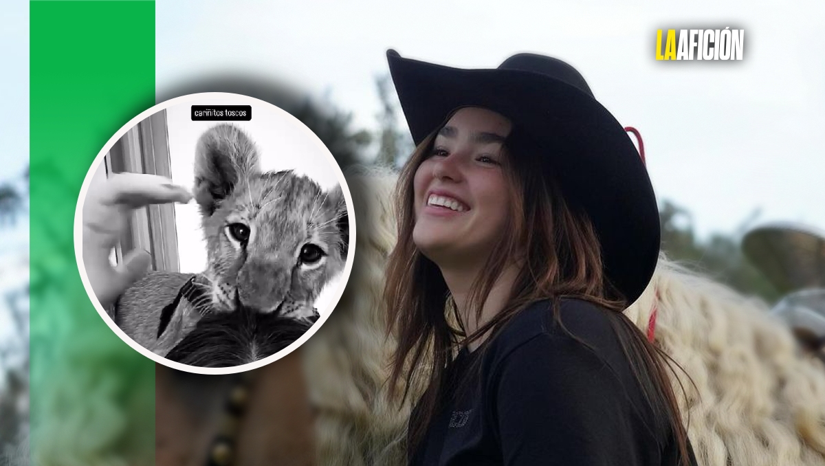 Hija del Canelo causa polémica tras presumir video con un león