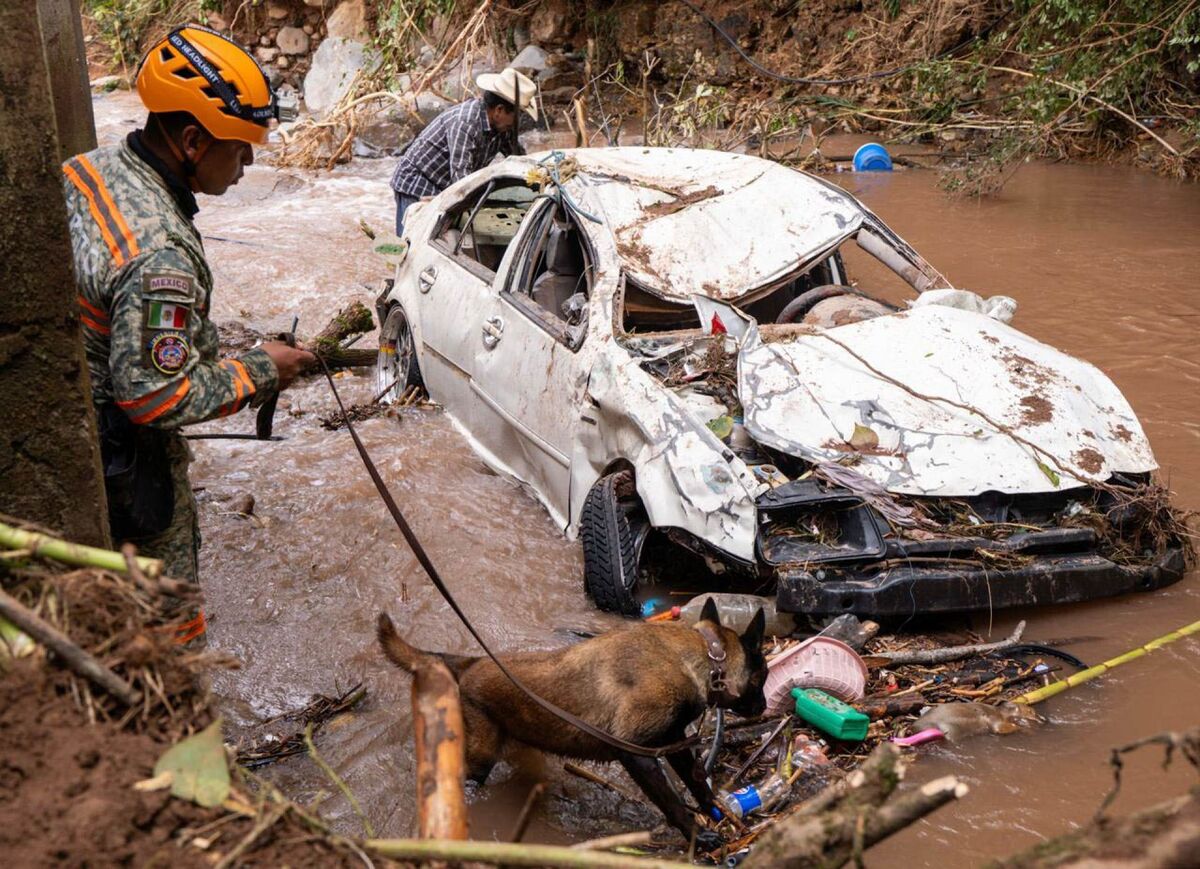 Afectaciones por lluvias en México EN VIVO: últimas noticias HOY 14 de octubre 2025