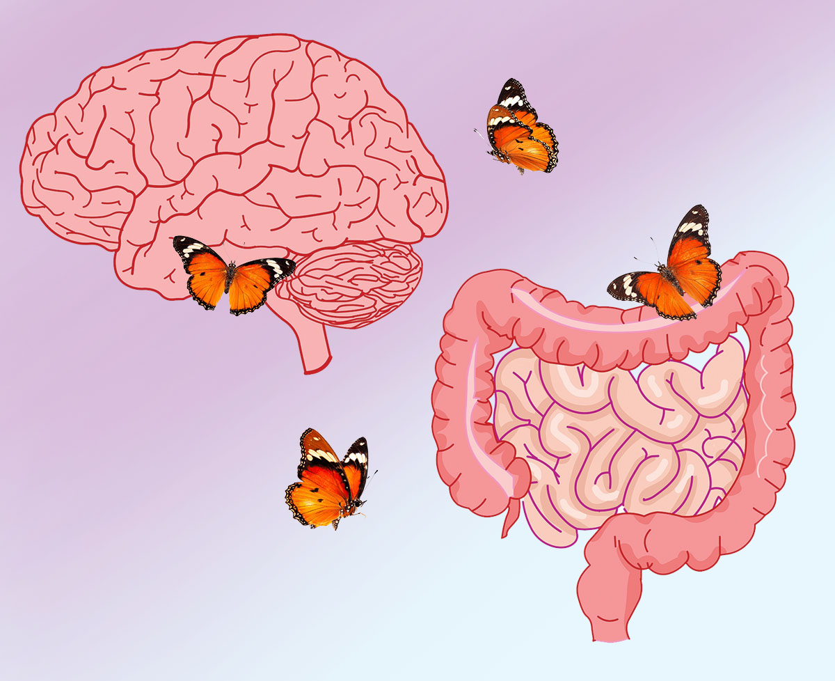 El eje intestino-cerebro que influye en nuestra salud mental y física
