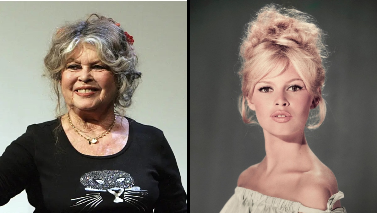 Brigitte Bardot, hospitalizada de urgencia en Francia por una "enfermedad grave"