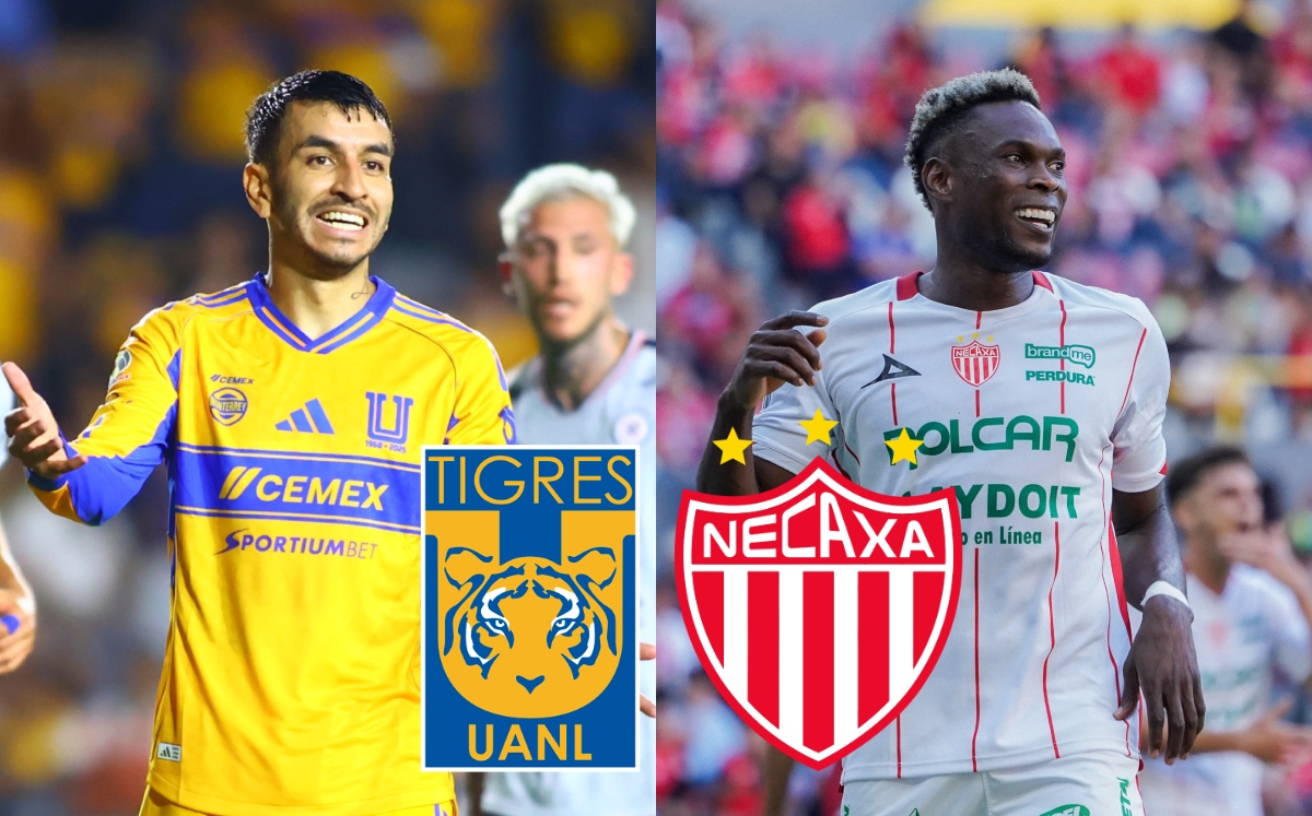 Tigres vs Necaxa: ¿Cómo y dónde VER partido de la Jornada 13 del Apertura 2025 en la Liga MX?