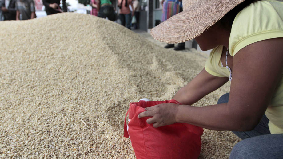 La Agencia de Servicios a la Comercialización y Desarrollo de Mercados Agropecuarios (ASERCA) autorizó el aumento de precio de 800 pesos por tonelada 