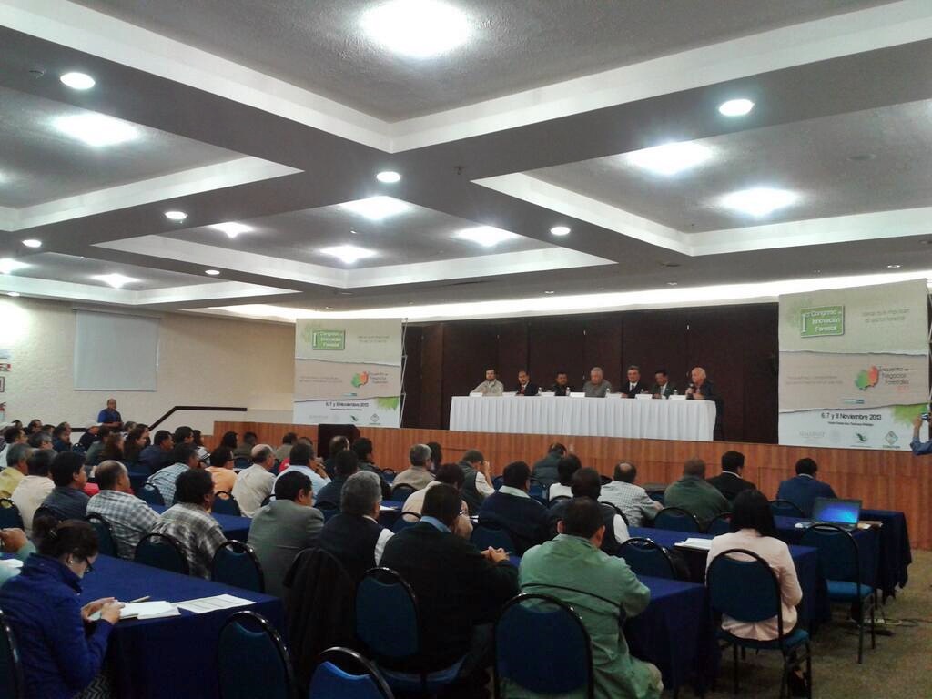Congreso de Innovación Forestal estará del 6 al 8 de noviembre. 