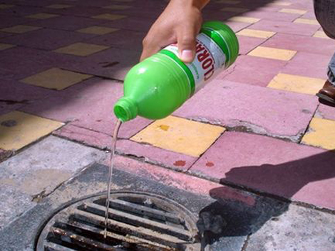 Se realizan acciones contra el dengue en La Laguna de Durango.