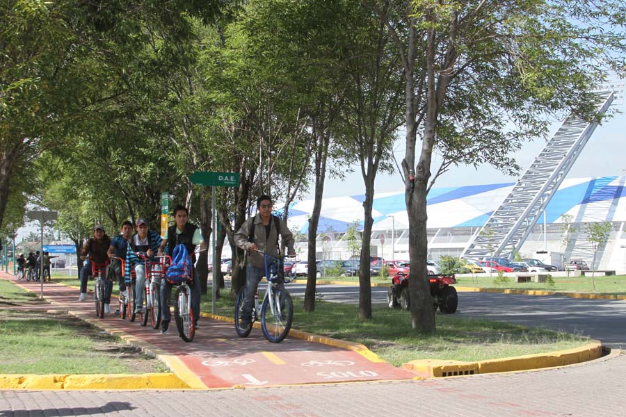 Gran aceptación del Lobobici