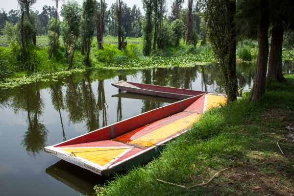 Xochimilco es una reserva ecológica