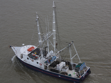 El barco se encuentra a la espera de recibir apoyo por parte de la Secretaría de Marina
