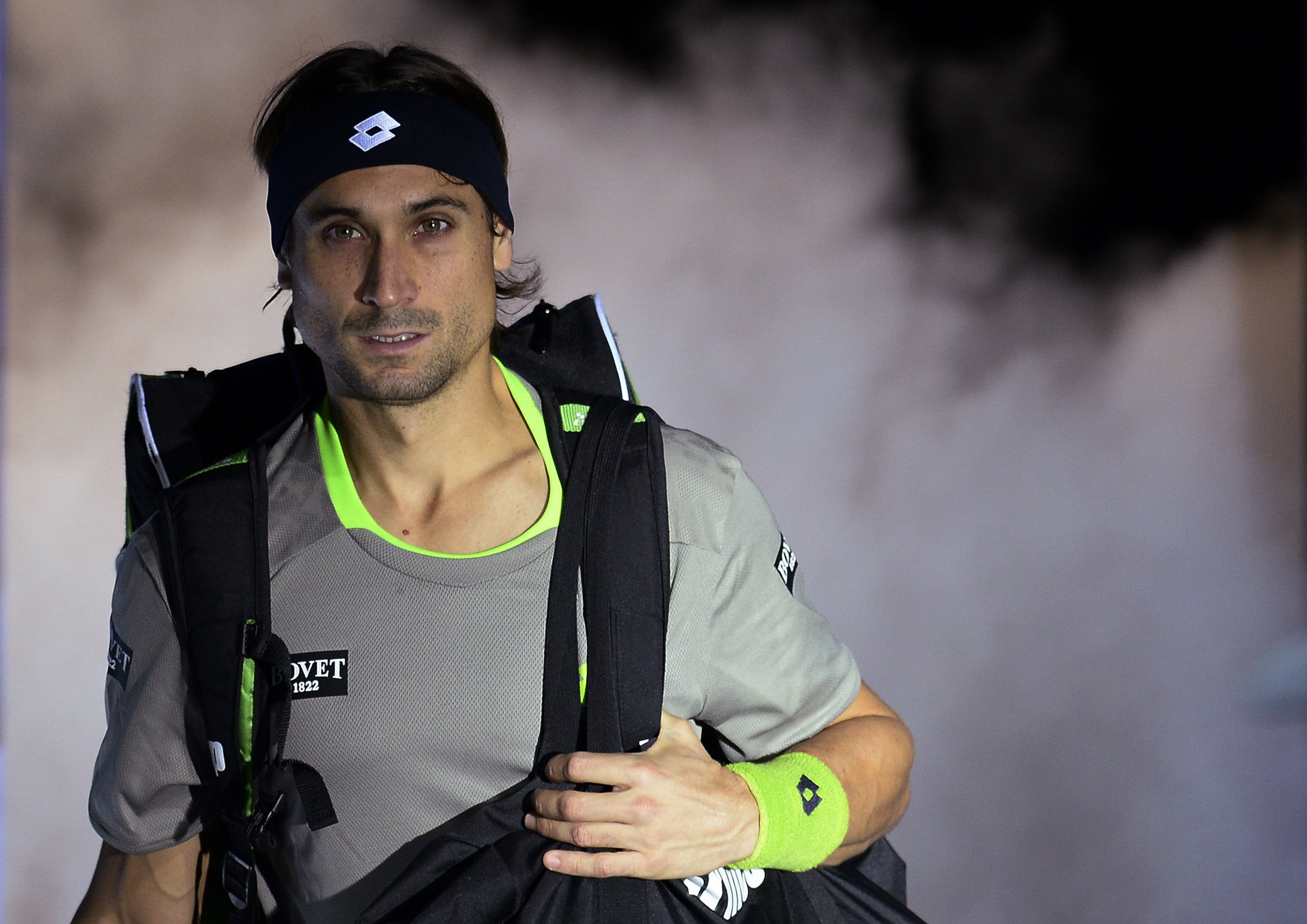 David Ferrer