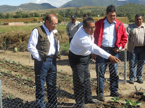 Resultados exitosos en aprovechamiento de huertos familiares.