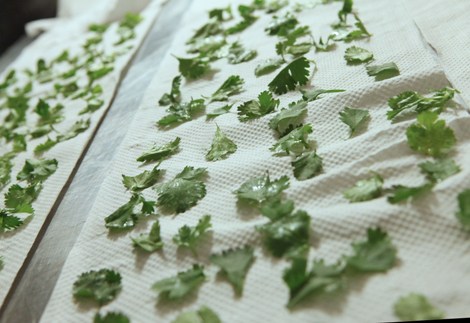 Los asistentes al evento degustaron diversos platillos elaborados con productos del mar
