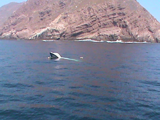 La embarcación pesquera "Flypper" se hundió en la costa de Ensenada