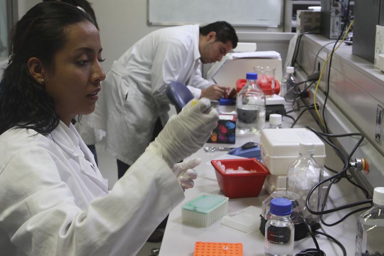 Se desarrollan biocomparables.