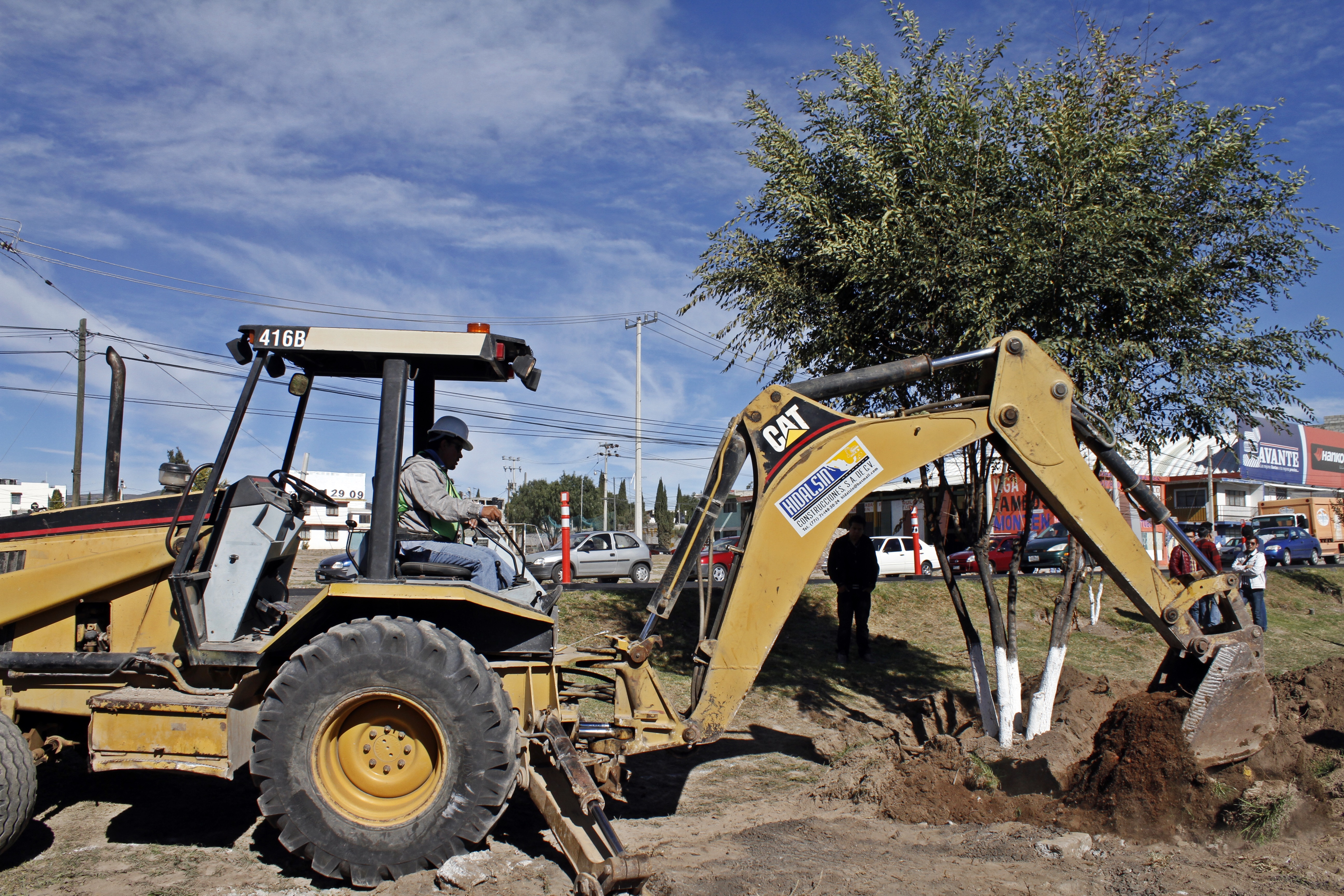 Reubican árboles que afectaban las labores de construcción del Tuzobús. 