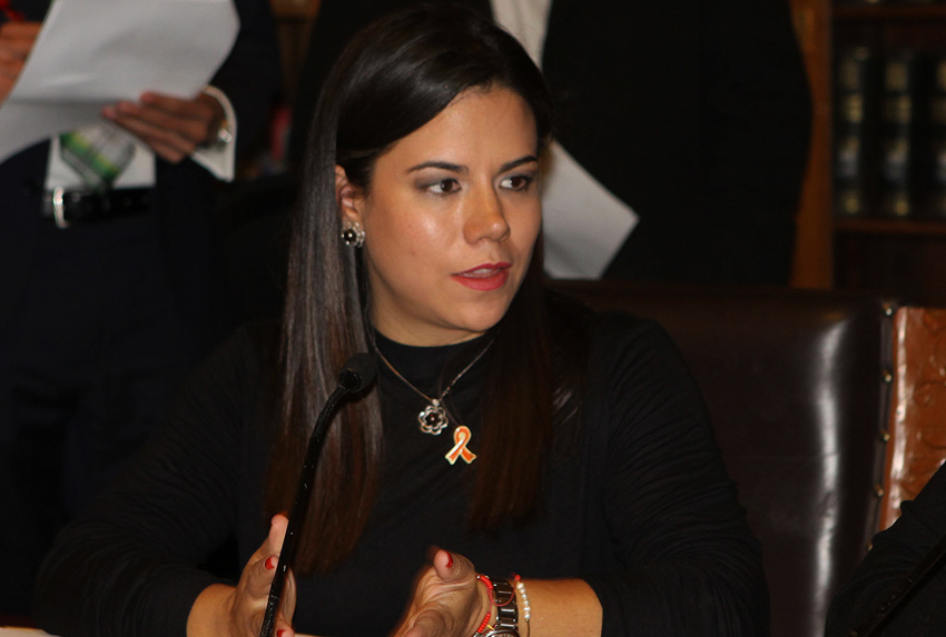 Erika Arroyo, diputada del PRI.