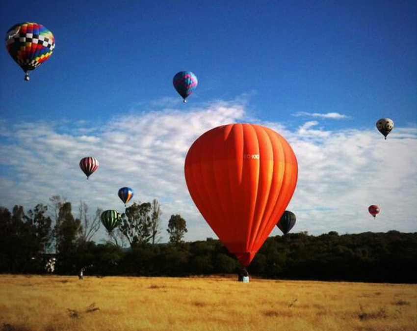 200 globos de diferentes tamaños y colores pintaron y adornaron el cielo de León.