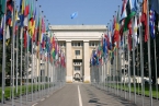 ONU