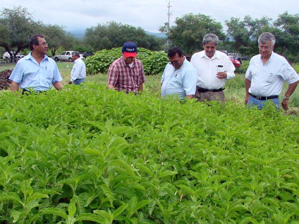  Alberto Jiménez Merino, delegado de Sagarpa, con productores poblanos.