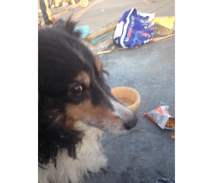 Encontramos a Maggie