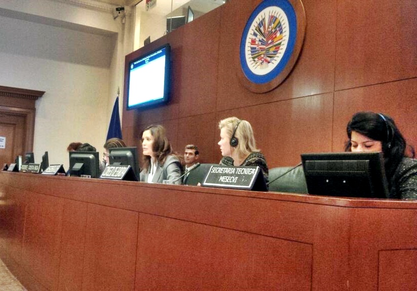 Guadalupe Romero participa en Conferencia de la OEA.