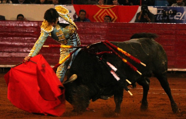 Miguel Ángel Perera, torero