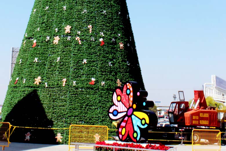 Encenderán el Árbol de Navidad este domingo 1 de diciembre en la Explanada Banderas del CCU.