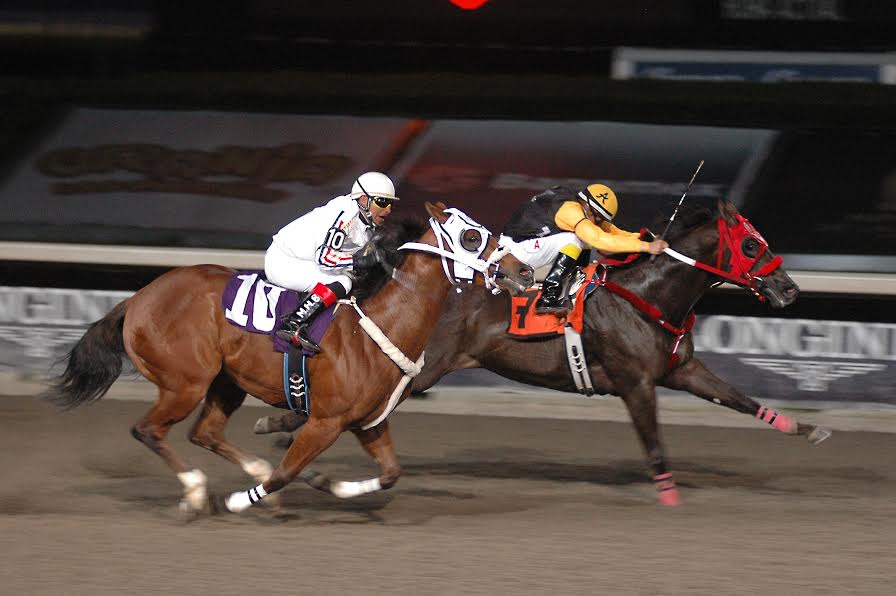Hipódromo de Las Américas.