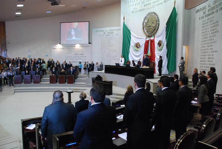Presentan en Veracruz iniciativa para protección de animales
