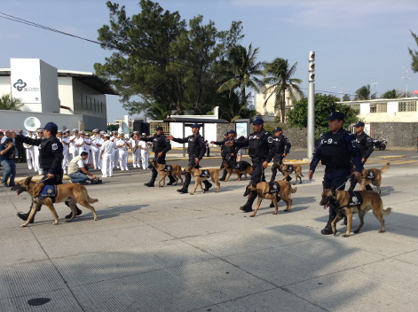 Los Binomios también participarán en la seguridad. 