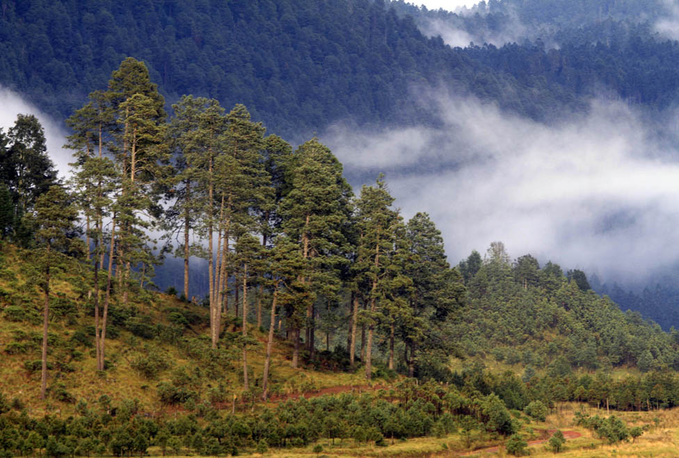 Aspectos del frío en el Valle de Toluca.