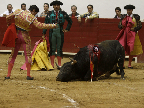 El artículo octavo es el principal en la aprobación de las corridas de toros.