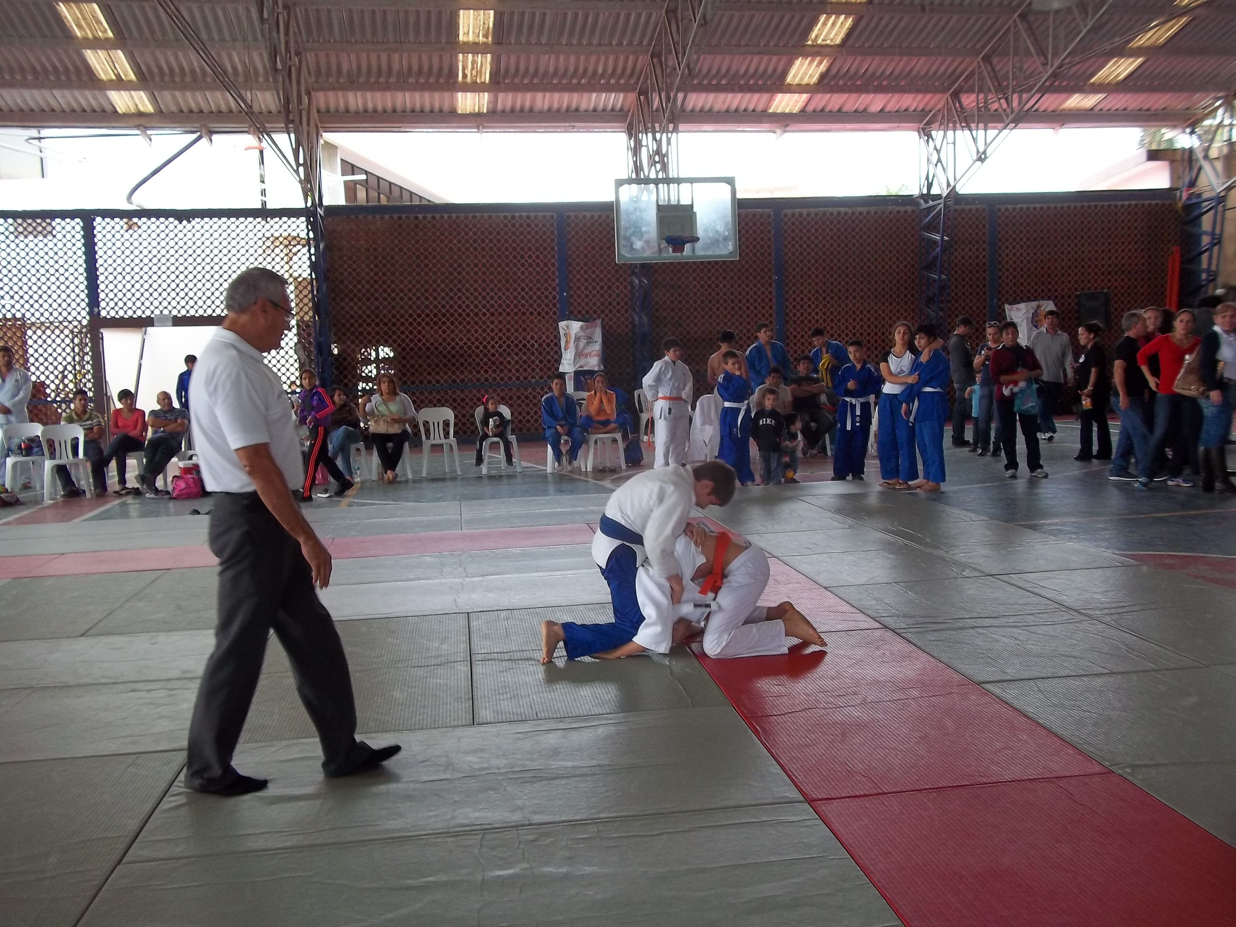 2013 fue un año bueno para deportistas del Judo a nivel nacional e internacional.