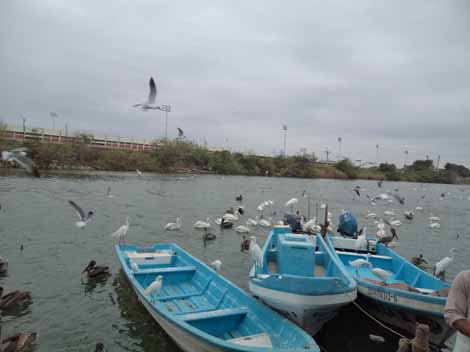 Piden a "La Puntilla" como sitio turístico.