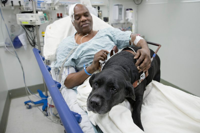 Cecil Williams y su perro guía Orlando en el hospital