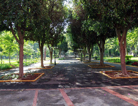 El Parque Agua Azul es un área verde extensa, ubicada cerca del Centro de la ciudad. 