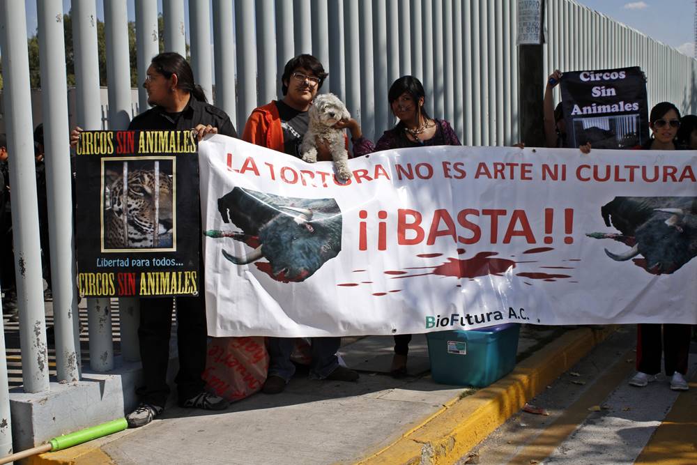Activistas afirmaron que con las penas ayudaría a evitar el maltrato animal.