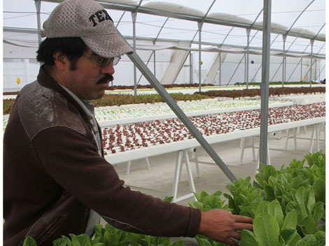 Se prevé que para el 2014 se presente la reforma del Campo.