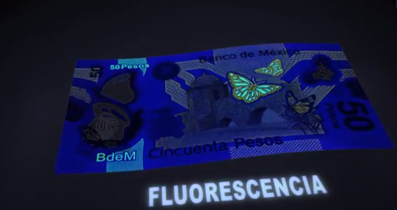 La fluorescencia permite ver las principales zonas de seguridad. 