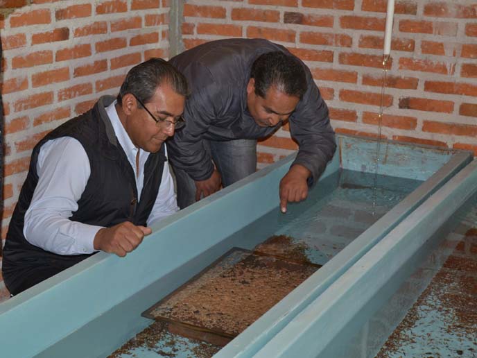 Alberto Jiménez Merino, delegado de la Secretaría de Agricultura, Ganadería, Desarrollo Rural, Pesca y Alimentación.