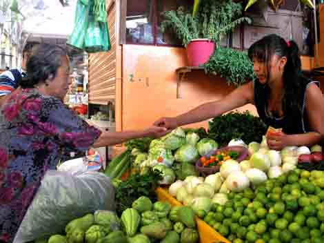 Culmina el año con incremento en chile, tomate y cebolla