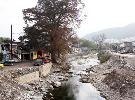 Los sectores de la Condesa y San Ángel Sur, en Monterrey, tienen la mayor incidencia de esta situación.