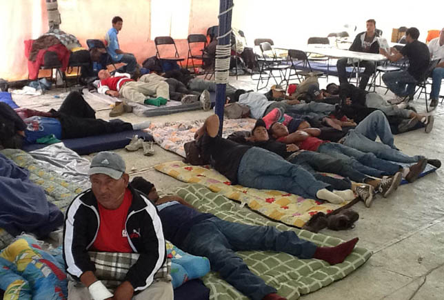 Van de paso por México para llegar a Estados Unidos.