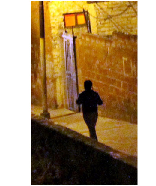 Desde entonces, por los caminos solitarios de Chapantongo se ve una mujer vestida de gala. 