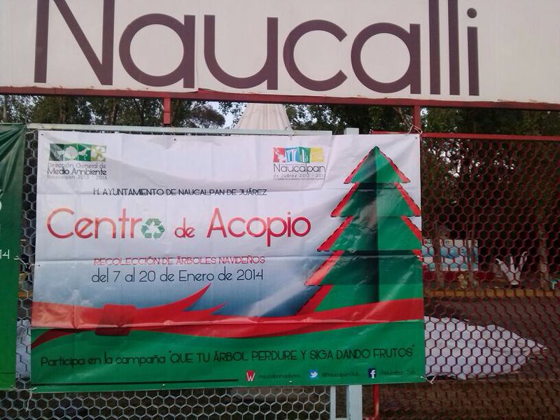 Campaña de recolección de árboles de navidad