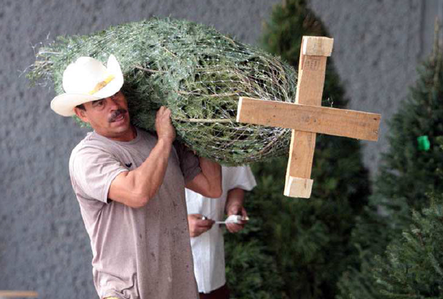 Canjear árbol de navidad