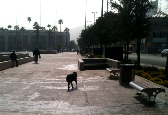 Una menor de cuatro años fue mordida por un perro, cuando se encontraba en la Plaza Mayor.