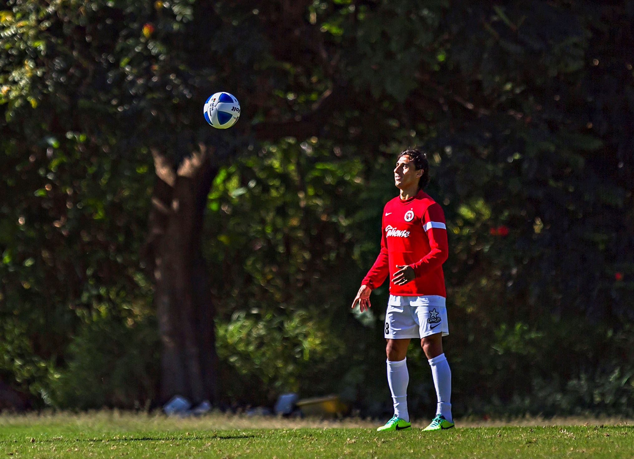 Fernando Arce