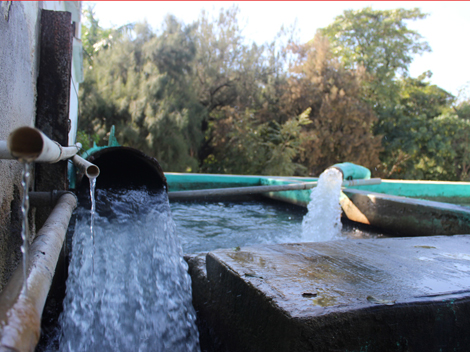 4 mil usuarios no pagan  agua a Comapa en El Mante.