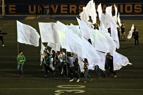 TIGRES