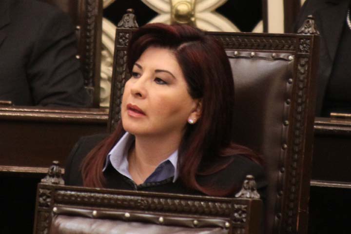 Patricia Leal, diputada local.