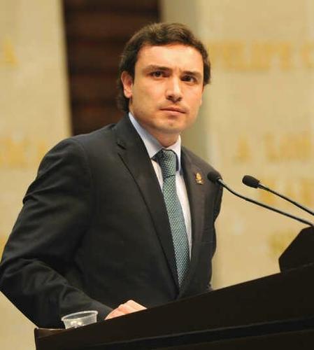 Diputado Fernando Rodríguez Doval.